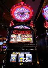 A Emoção da Loteria na T55: Uma Chance de Mudança de Vida